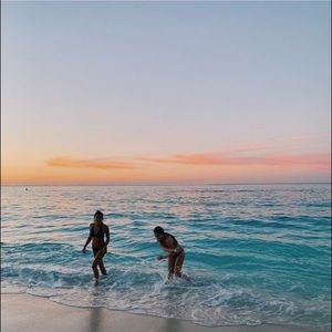 Meet your Posher, Lily